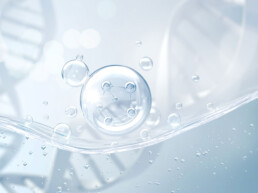 bioestimuladores